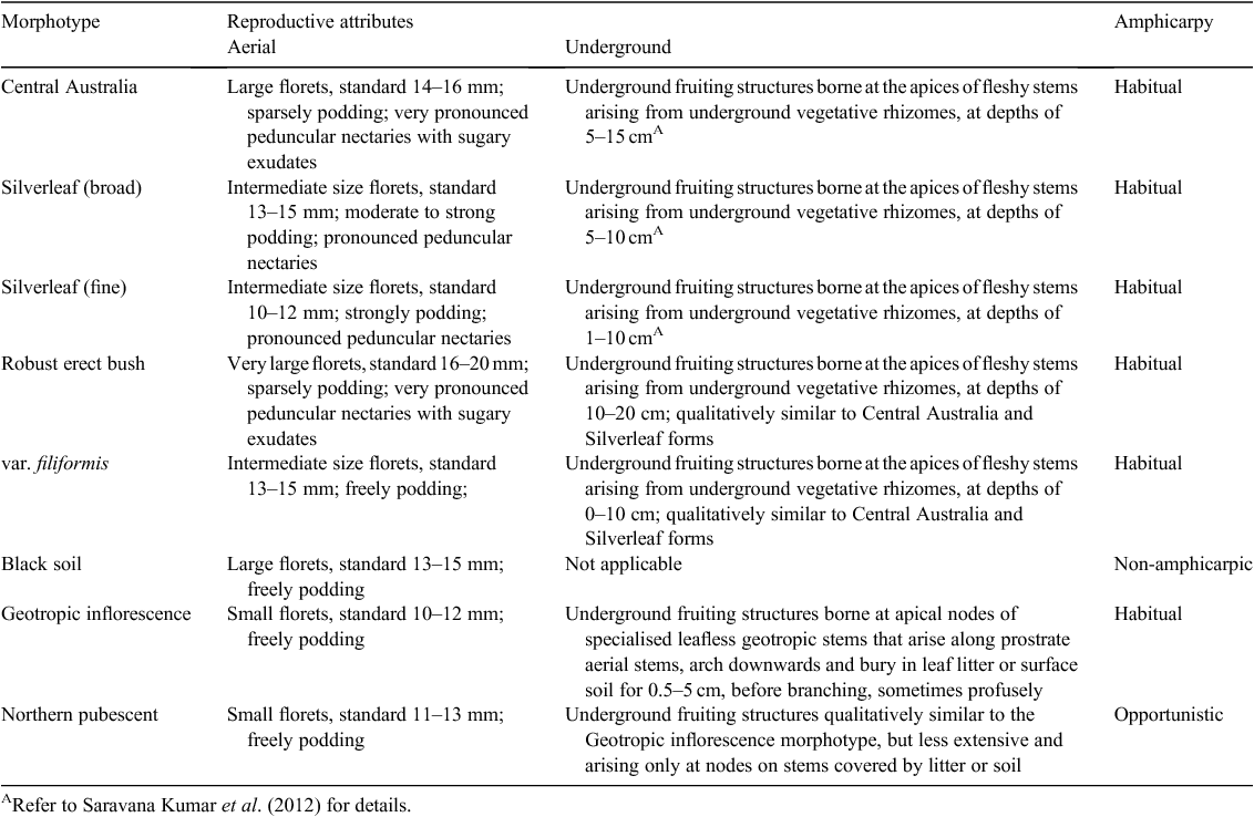 Expression of amphicarpy in Vigna lanceolata morphotypes and their ...