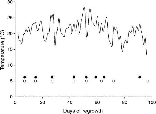 Leaf Morphogenesis Influences Nutritive Value Dynamics Of Tall Fescue Lolium Arundinaceum Cultivars Of Different Leaf Softness