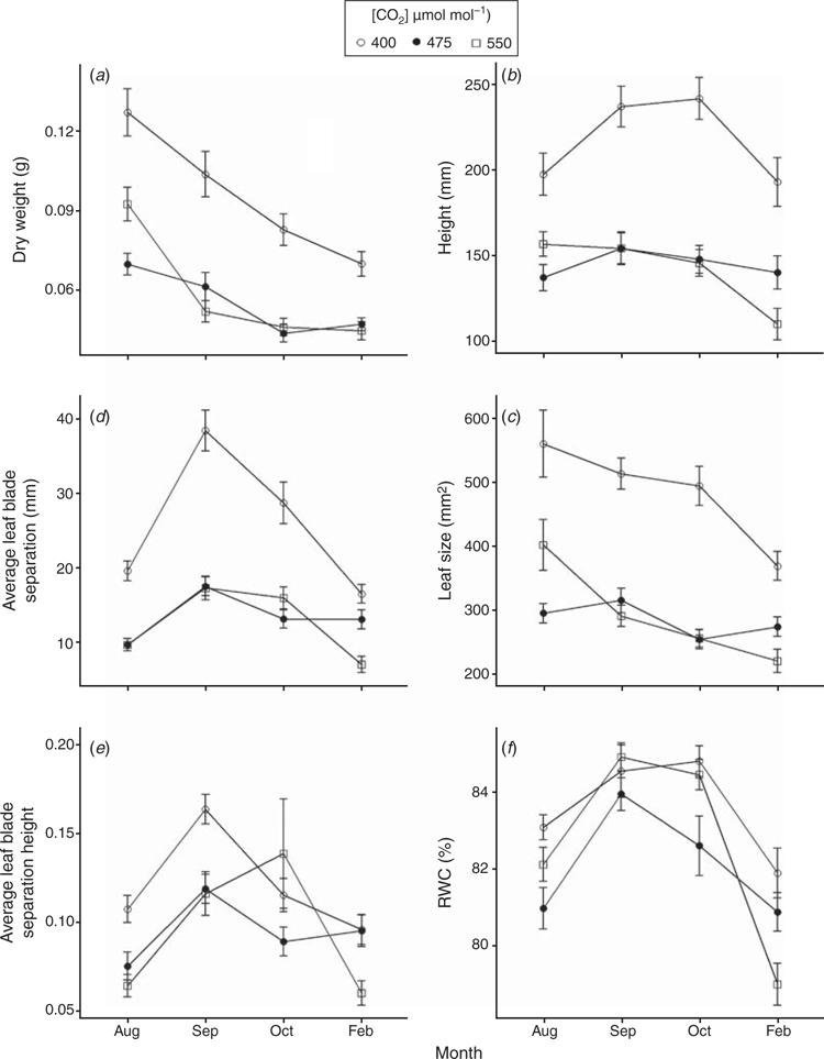 Elevated CO2 causes large changes to morphology of perennial ryegrass ...