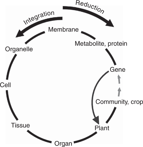 translational research in agriculture