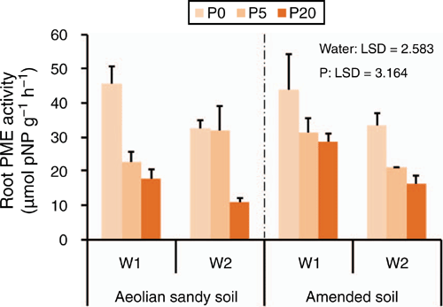 Verenigen reactie Psychiatrie Amending aeolian sandy soil in the Mu Us Sandy Land of China with Pisha  sandstone and increasing phosphorus supply were more effective than  increasing water supply for improving plant growth and phosphorus