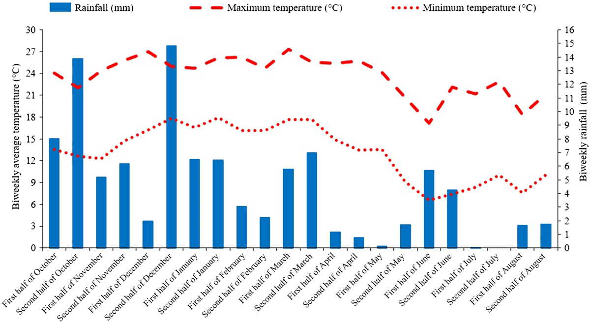 Effects of gypsum on growth and nutrient status of forage grasses  cultivated between the rows of organically grown Satsuma mandarin in an  Oxisol from subtropical Brazil