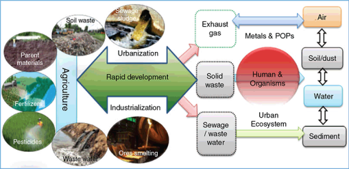 PDF) Heavy metal toxicity and possible Functional aspects of microbial  diversity in heavy metal contaminated sites: Microbial genomics in  sustainable agrosystems