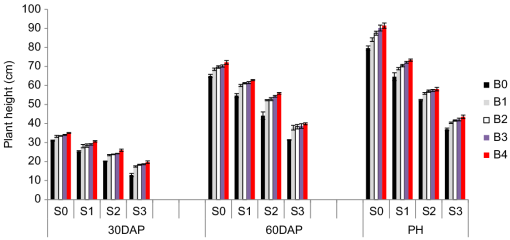 Strength gain trend over time for clean sand and FCR.