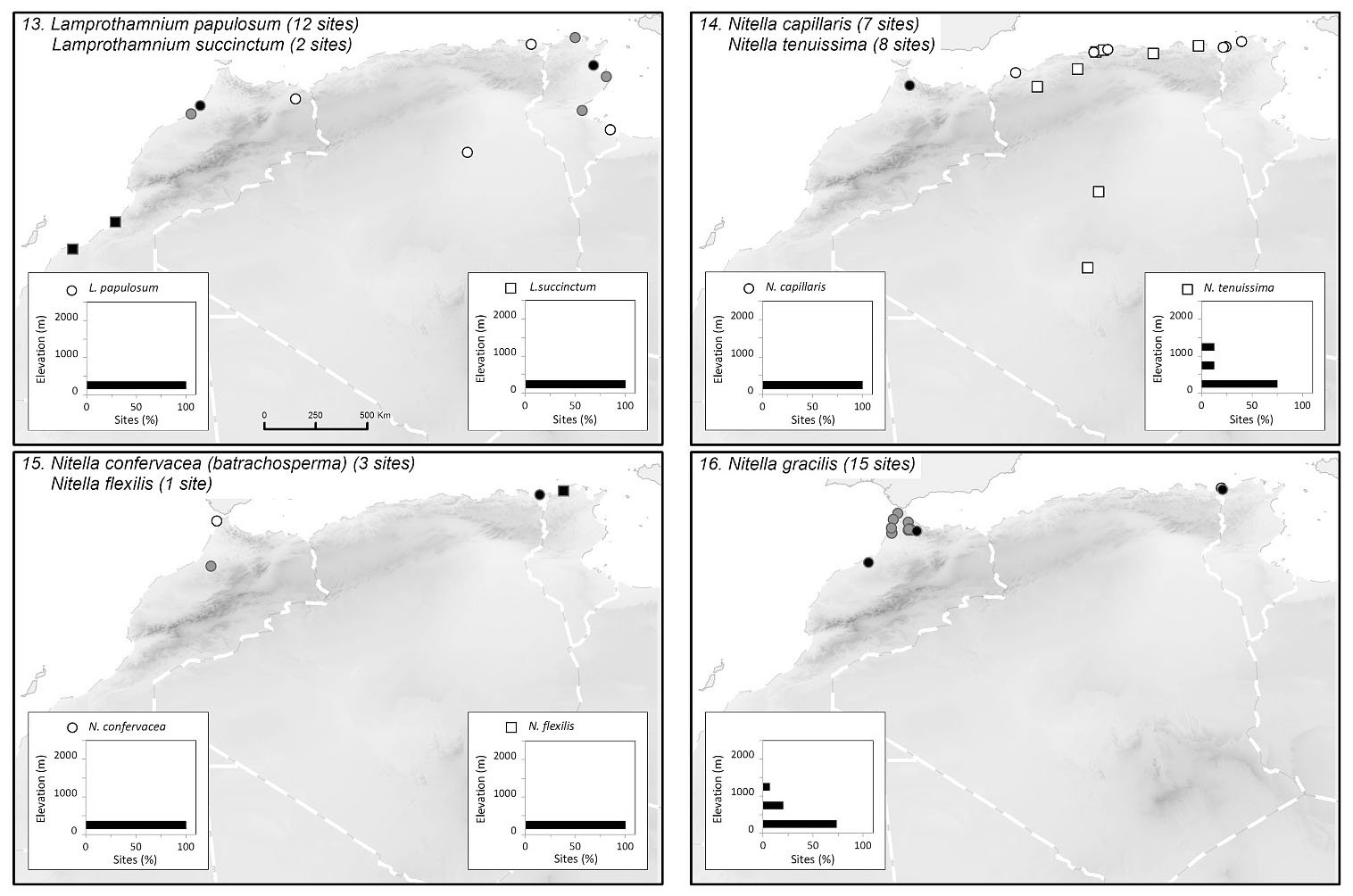 Diversity And Distribution Of Characeae In The Maghreb Algeria Morocco Tunisia