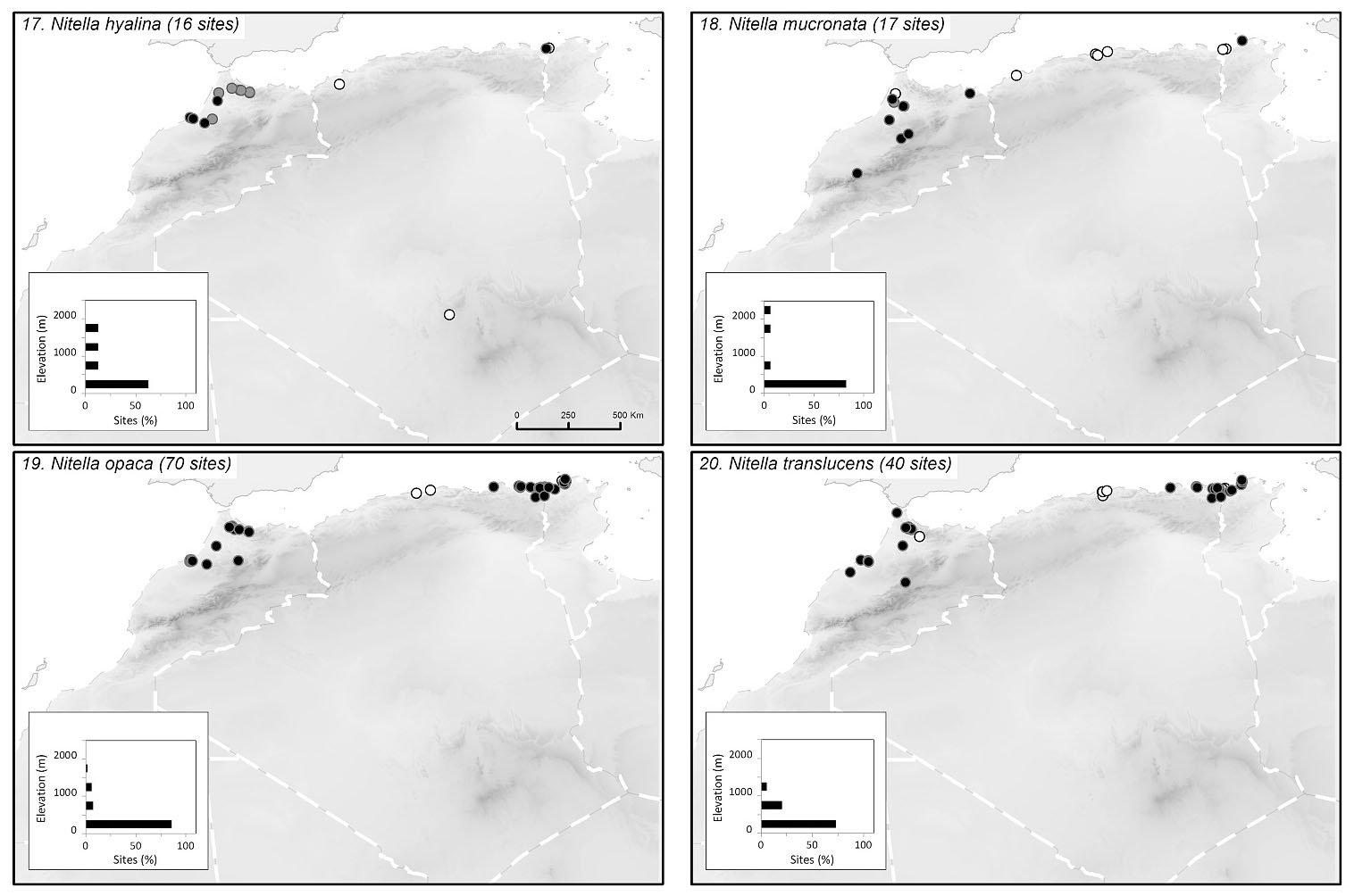 Diversity And Distribution Of Characeae In The Maghreb Algeria Morocco Tunisia