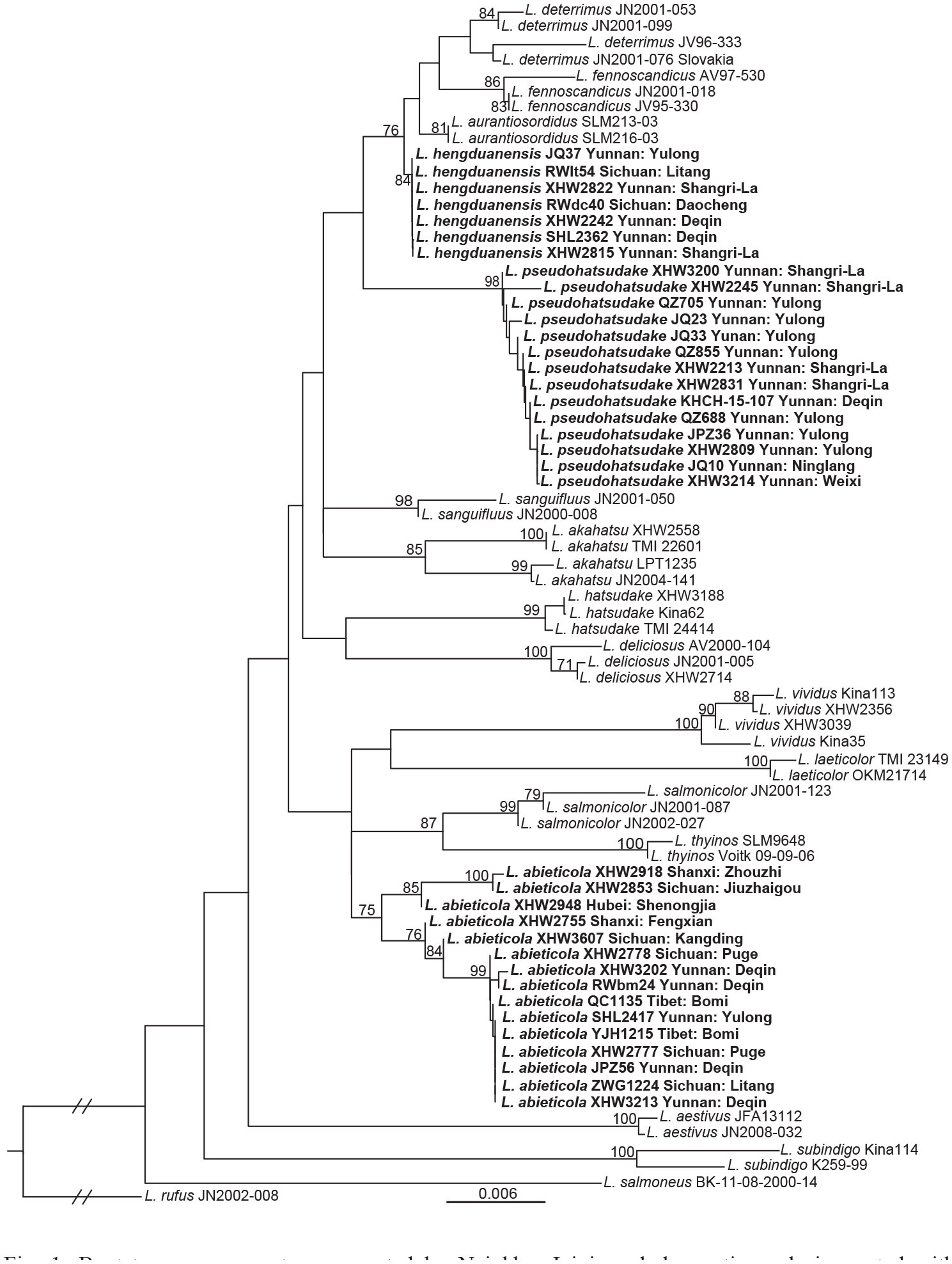 Three New Species of Lactarius Sect. Deliciosi from Subalpine-Alpine ...