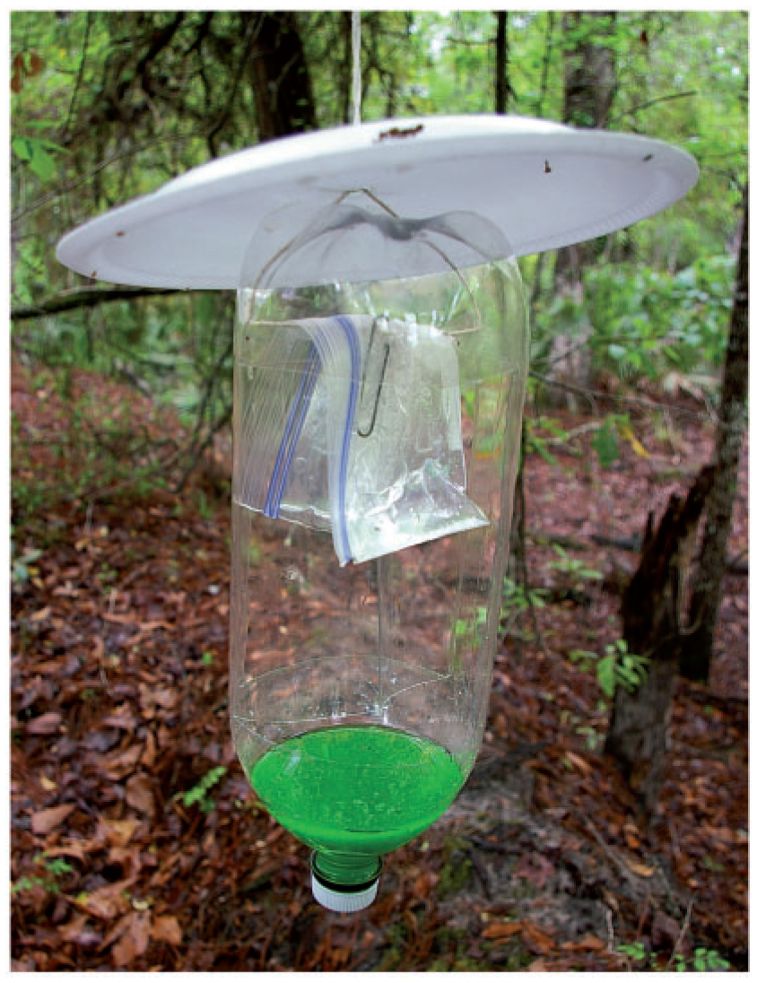 Simple and Efficient Trap for Bark and Ambrosia Beetles (Coleoptera ...