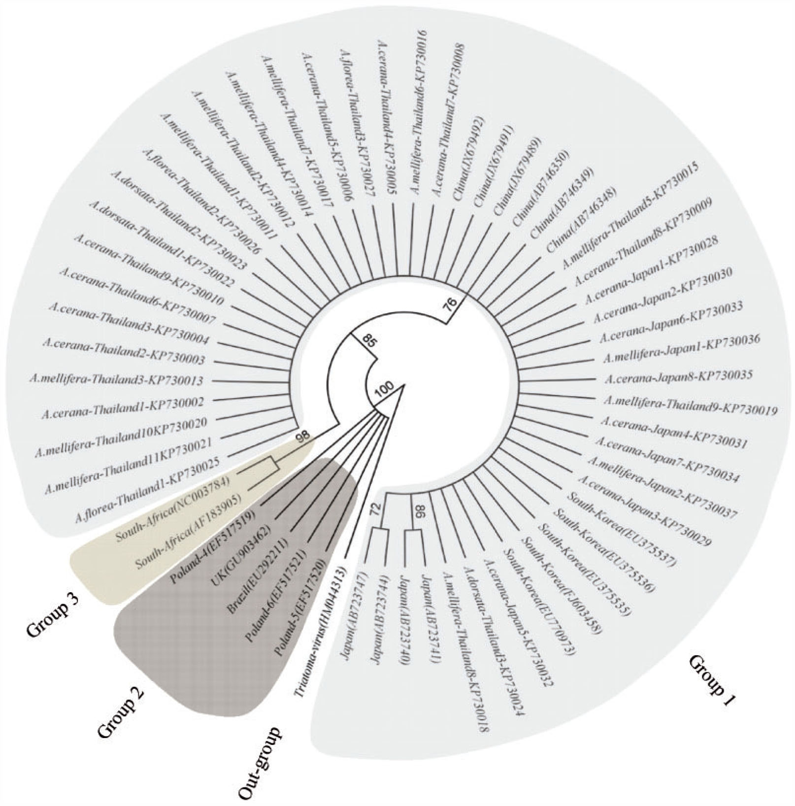 Capsid Gene Divergence of Black Queen Cell Virus Isolates in Thailand ...