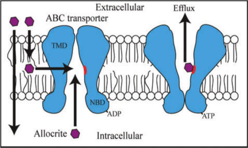 Implicating ABC Transporters in Insecticide Resistance: Research ...