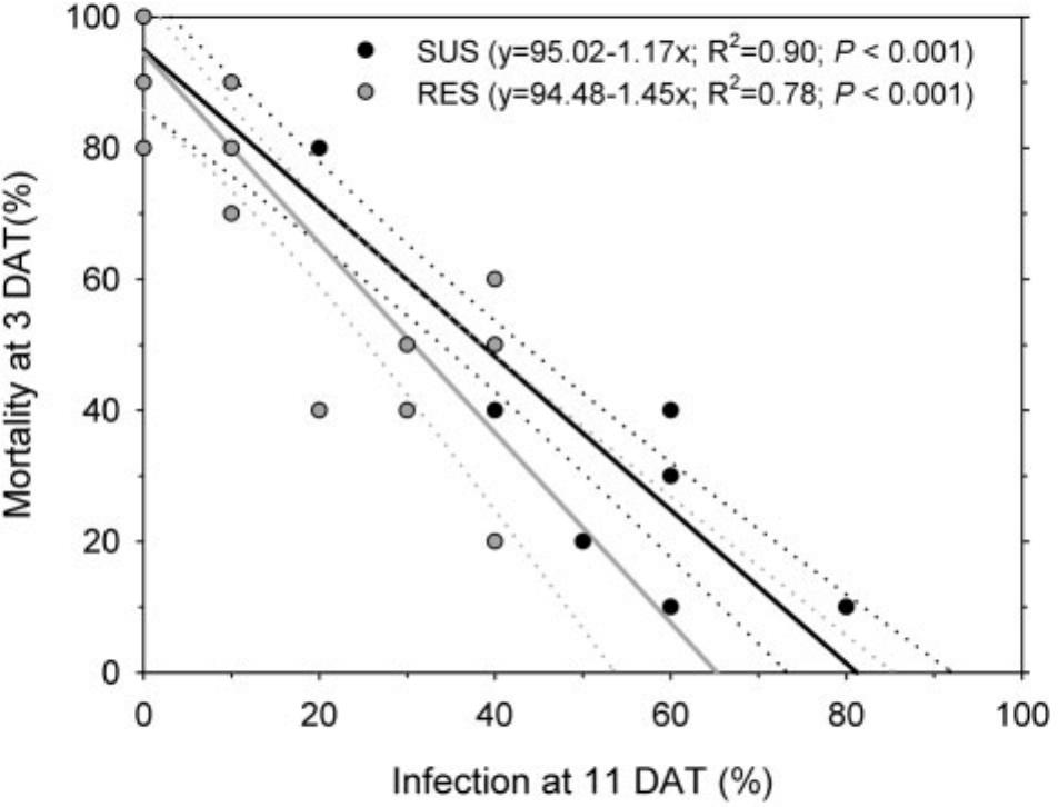 Synergistic Combinations Of A Pyrethroid Insecticide And An Emulsifiable Oil Formulation Of Beauveria Bassianato Overcome Insecticide Resistance Inlistronotus Maculicollis Coleoptera Curculionidae
