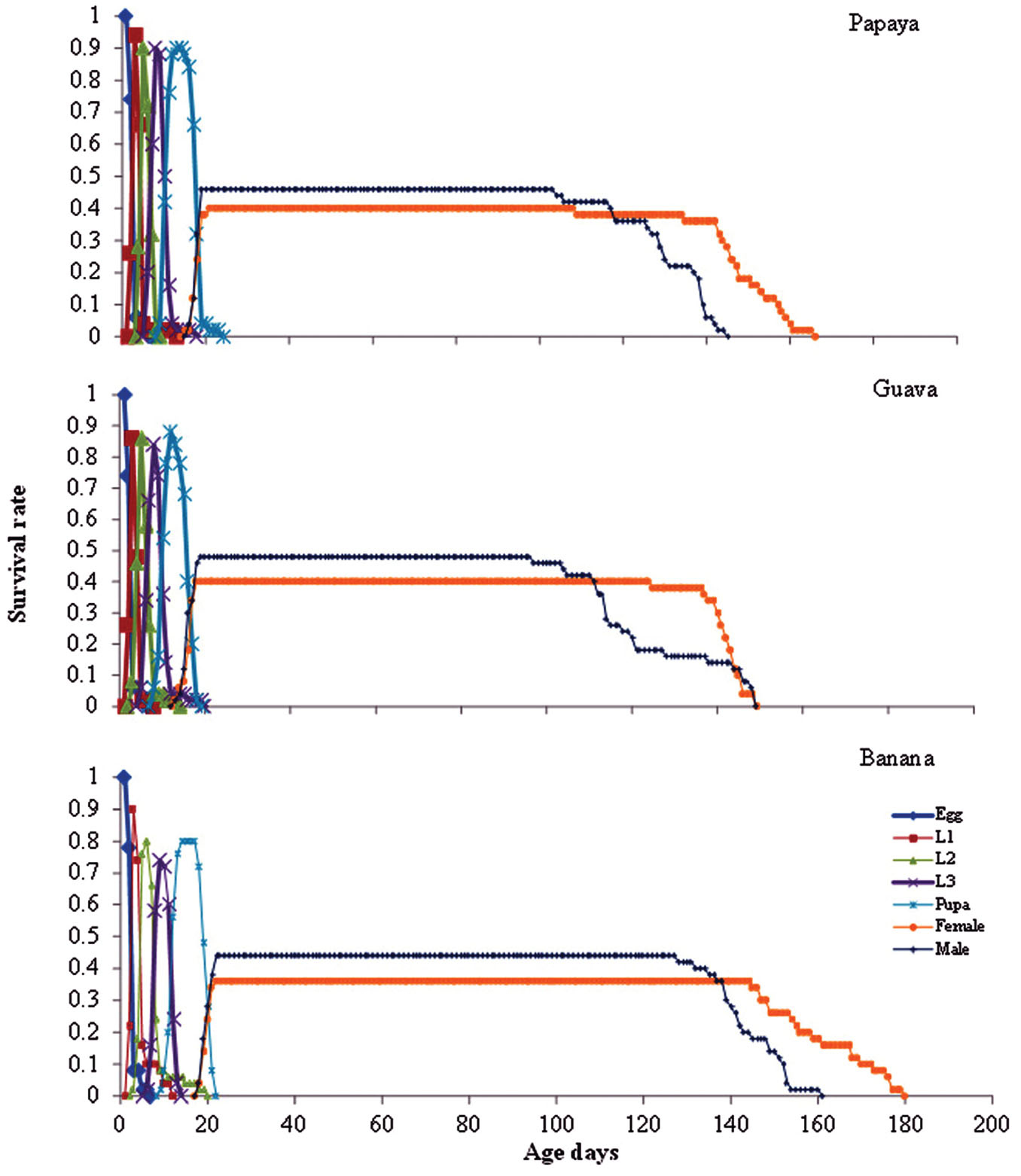 Using Two Sex Life Table Traits To Assess The Fruit Preference And Fitness Of Bactrocera Dorsalis Diptera Tephritidae