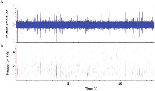 Chipmunk Spectrogram Performance of a Low-Cost Acoustic Insect Detector System with ...