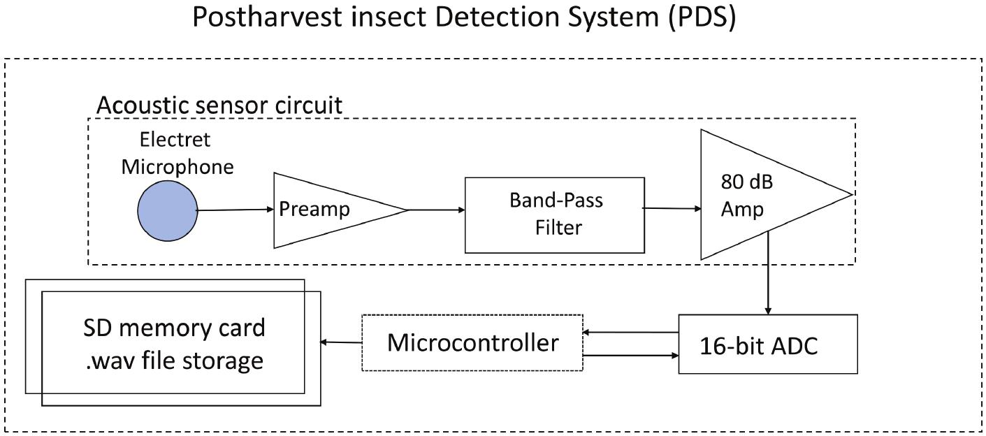 Performance Of A Low Cost Acoustic Insect Detector System With Sitophilus Oryzae Coleoptera