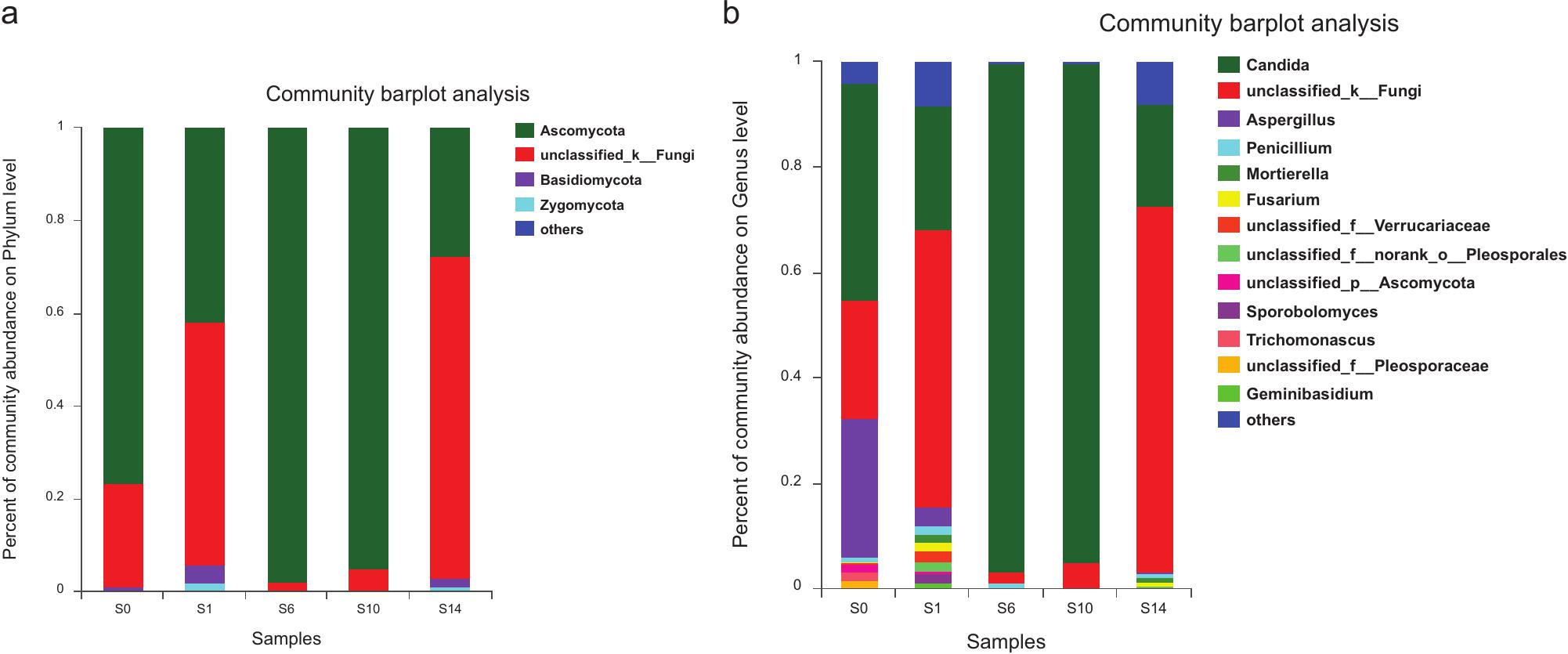 Effects Of Antibiotics On The Dynamic Balance Of Bacteria And Fungi In The Gut Of The German Cockroach