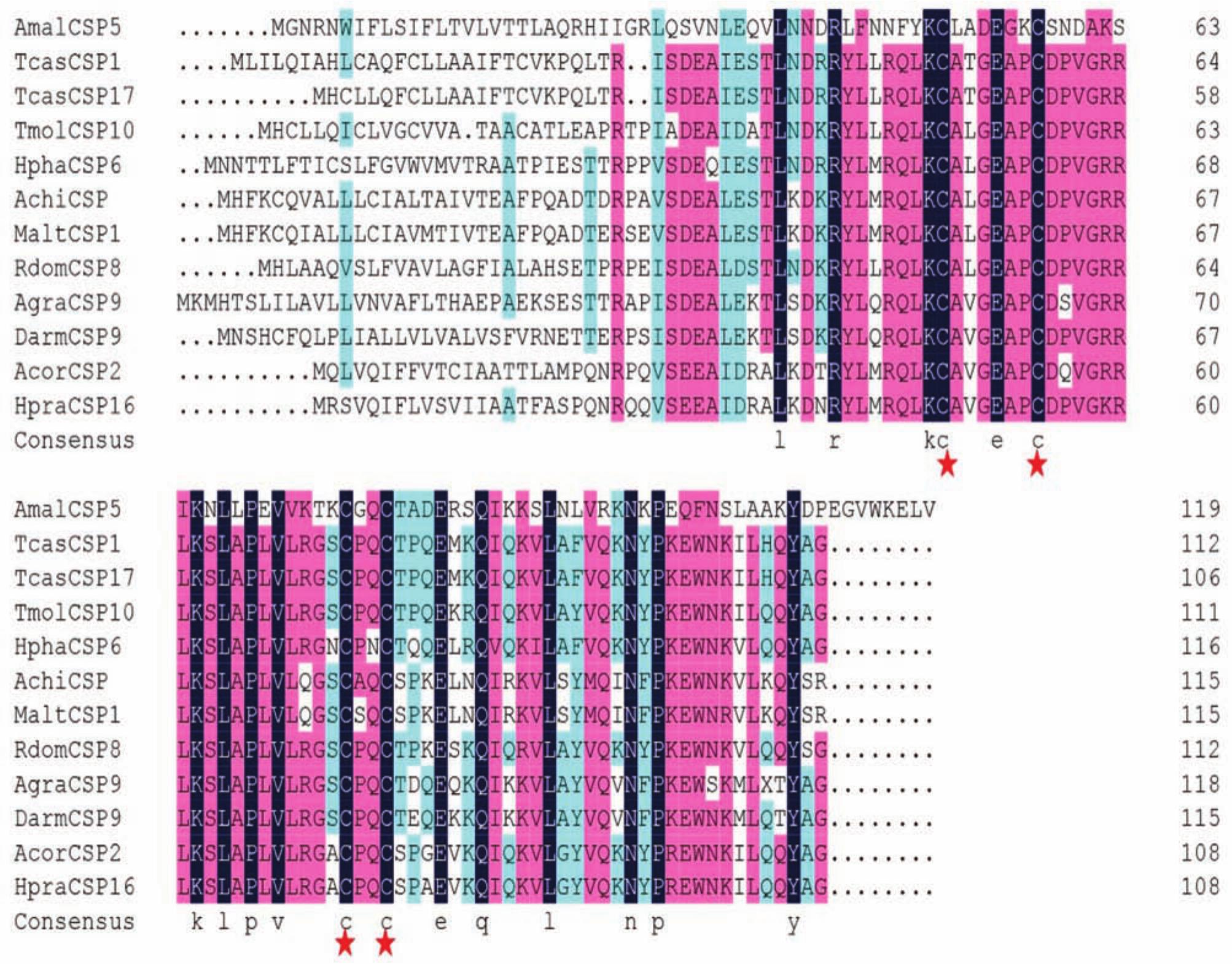 Functional Characterization Of Chemosensory Protein Amalcsp5 From Apple Buprestid Beetle Agrilus Mali Coleoptera Buprestidae