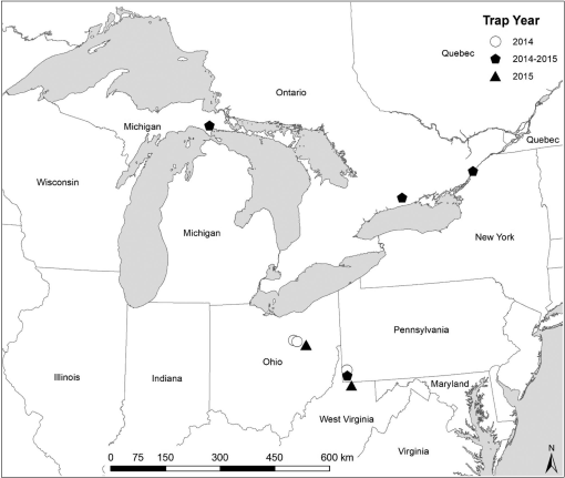 Evaluation of Double-Decker Traps for Emerald Ash Borer (Coleoptera:  Buprestidae)