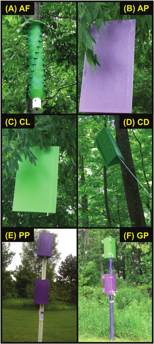 Evaluation of Double-Decker Traps for Emerald Ash Borer (Coleoptera:  Buprestidae)