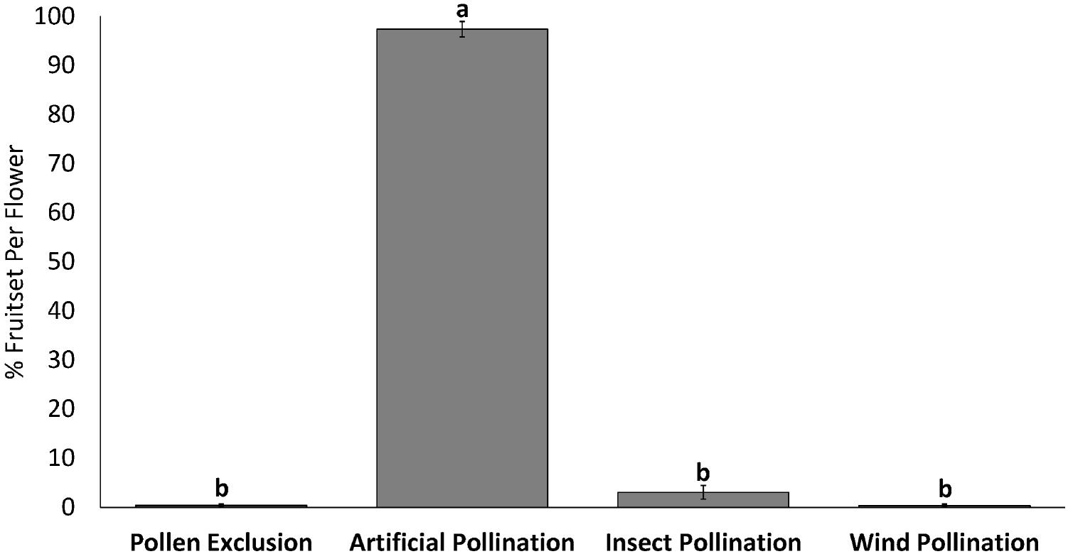 Artificial pollination of kiwifruit (Actinidia chinensis Planch. var ...