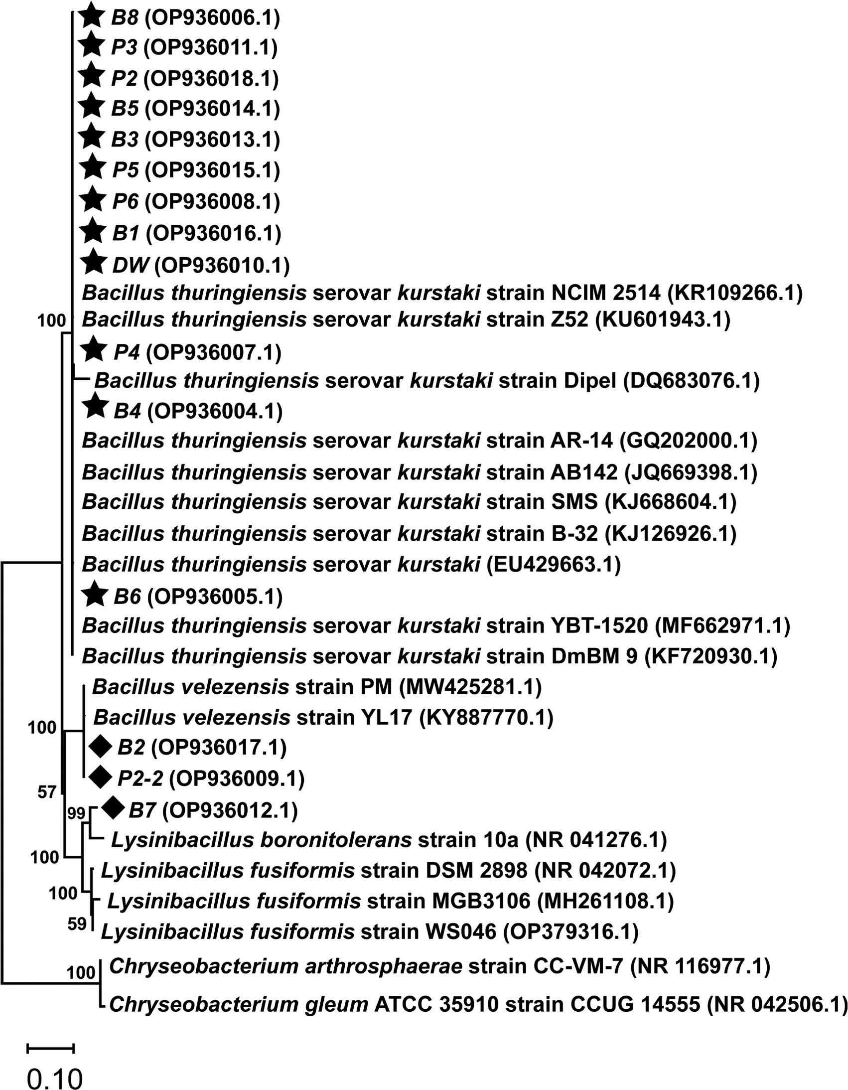 Novel formulations of Bacillus thuringiensis var. kurstaki: an eco-friendly  approach for management of lepidopteran pests