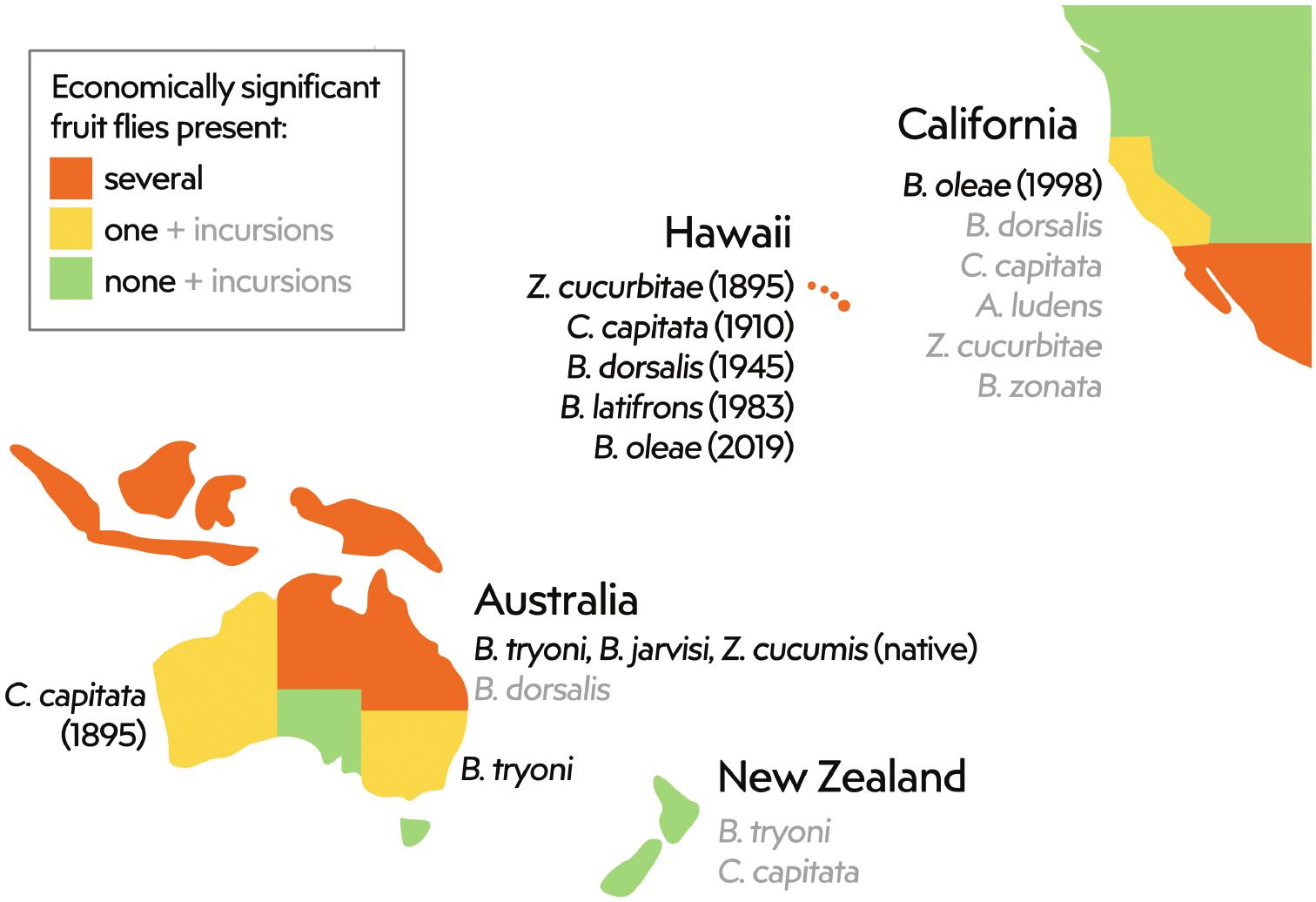 Review of surveillance systems for tephritid fruit fly threats in ...