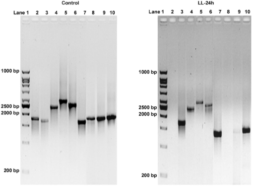 10.1177_1178630219839013-fig4.tif