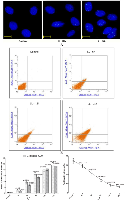 10.1177_1178630219839013-fig6.tif