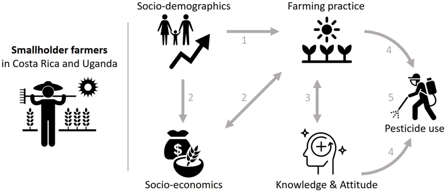 Comparative Analysis of Pesticide Use Determinants Among Smallholder  Farmers From Costa Rica and Uganda