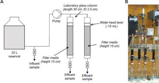 Impact Of Uv H2o2 Advanced Oxidation And Aging Processes On Gac Capacity For The Removal Of Cyanobacterial Taste And Odor Compounds