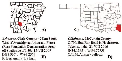 First Report Of The True Bug Pseudopachybrachius Vinctus Hemiptera Rhyparochromidae For Arkansas And Oklahoma U S A