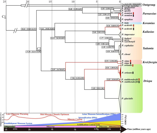 Genetic Differentiation And Divergence Time Of Chinese Parnassius Lepidoptera Papilionidae Species Based On Nuclear Internal Transcribed Spacer Its Sequence Data