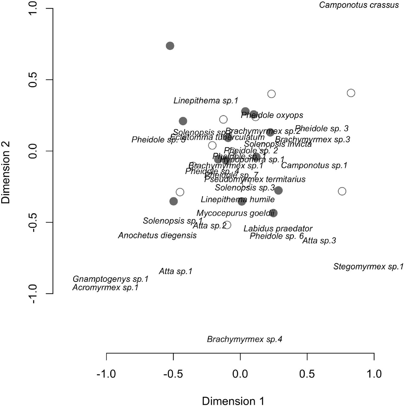 Species Richness And Community Composition Of Ants And Beetles In Bt And Non Bt Maize Fields