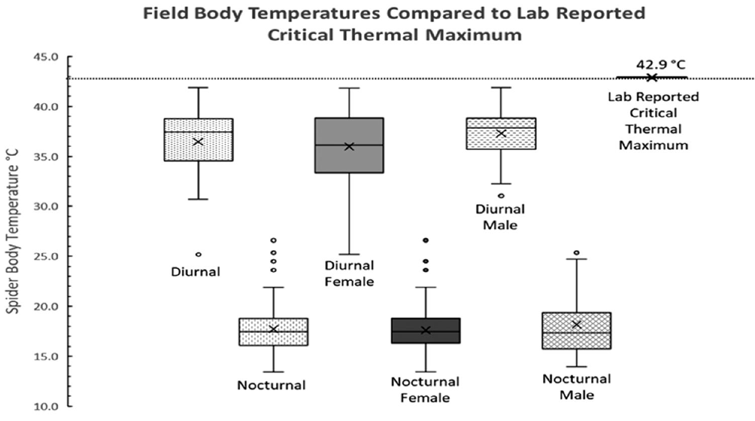 Box plot comparing male black widow spider body size (mean