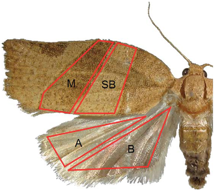 https://bioone.org/ContentImages/Journals/esaa/105/6/AN12023/graphic/f01_768.jpg