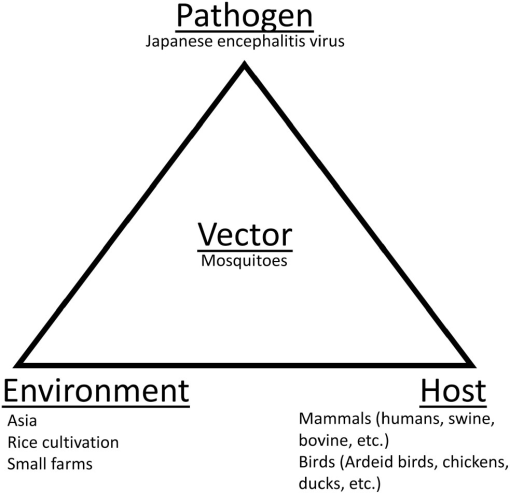 Epidemiological triad of vector?borne diseases.