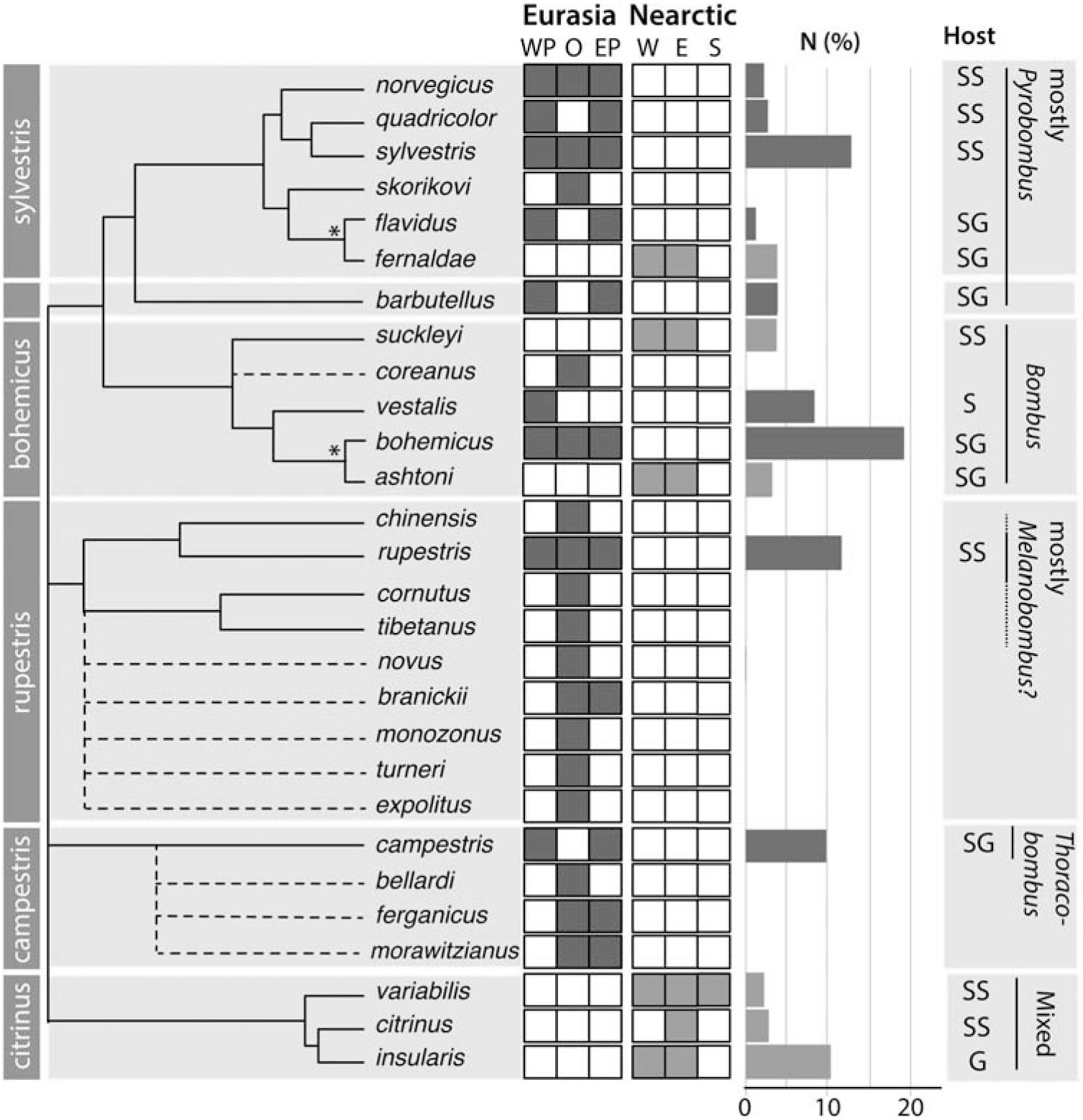 Cuckoo Combo: Re-Classification Makes Bombus flavidus World's Most  Widespread Bumble Bee