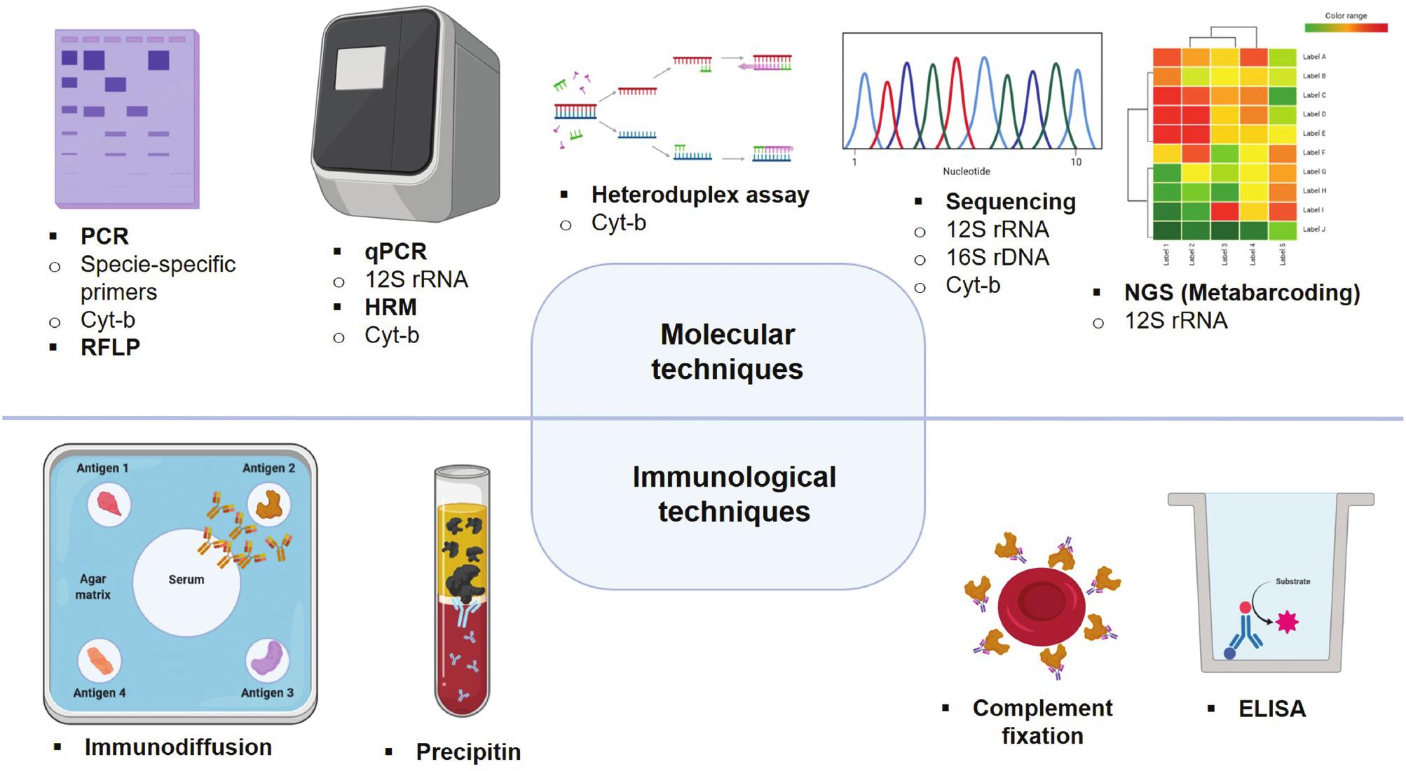 Unraveling The Importance Of Triatomine Hemiptera Reduviidae Triatominae Feeding Sources In The Chagas Disease Context