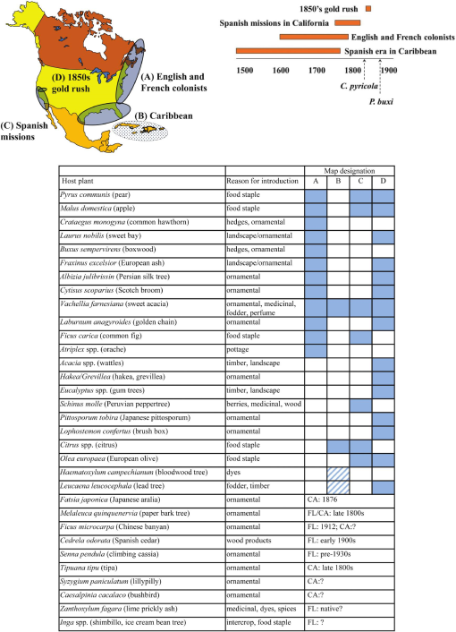 Exotic Psyllids And Exotic Hosts Accumulation Of Nonnative Psylloidea In North America Hemiptera