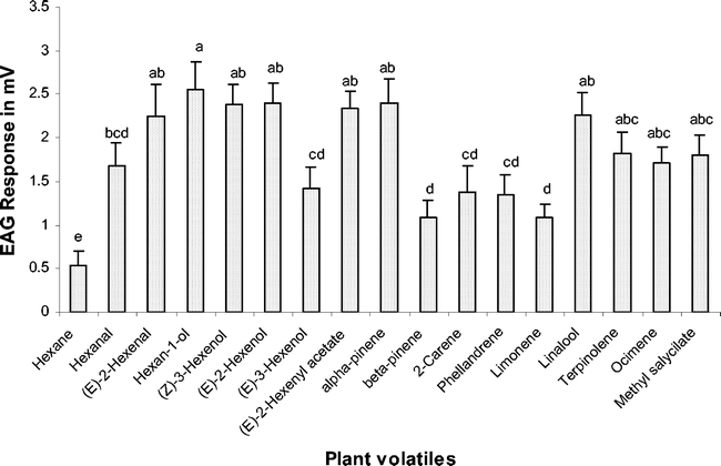 Antennal Sensilla And Electrophysiological Response Of Male And Female Spodoptera Frugiperda Lepidoptera Noctuidae To Conspecific Sex Pheromone And Plant Odors