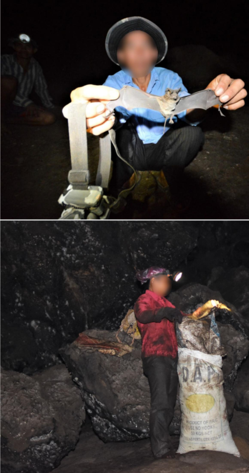 Attitudes towards and Relationships with Cave-Roosting in Northwest Cambodia