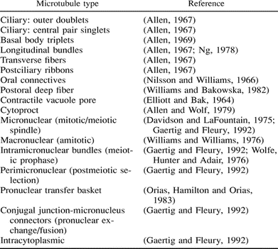 Molecular Mechanisms Of Microtubular Organelle Assembly In