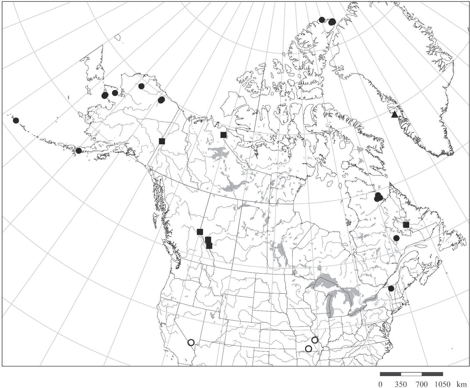 New Records Of The Putative Arctic Sub Arctic Alpine Liverwort