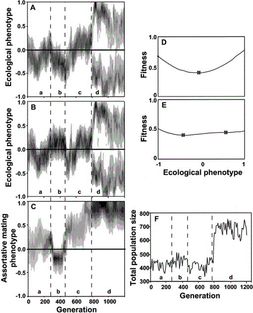 Sexual Dimorphism And Adaptive Speciation Two Sides Of The Same Ecological Coin