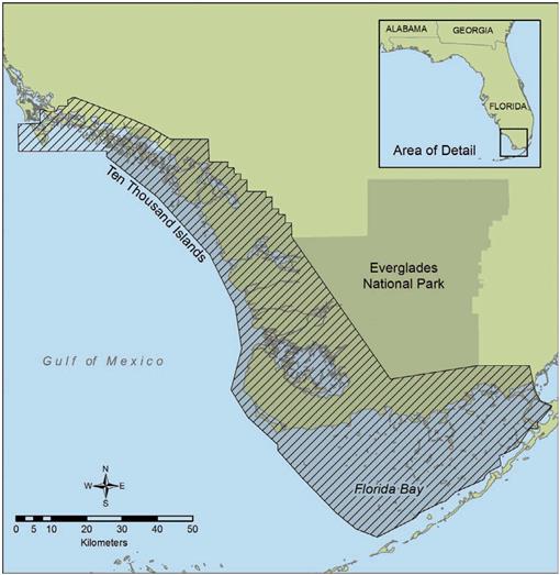 Designating Critical Habitat for Juvenile Endangered Smalltooth Sawfish ...