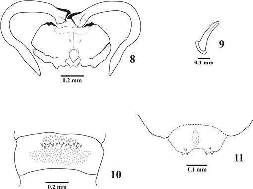 f08_203.jpg