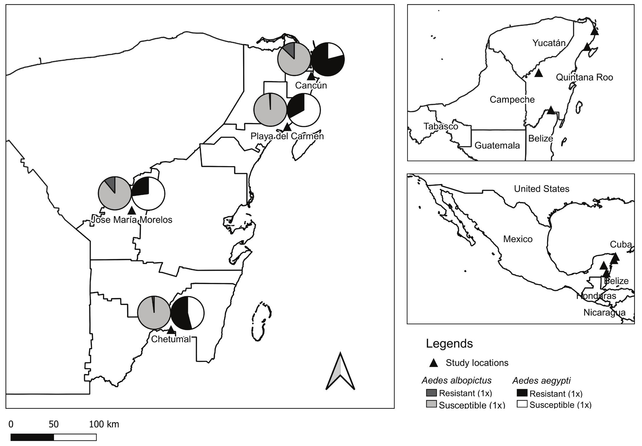 Expansive and Diverse Phenotypic Landscape of Field Aedes aegypti (Diptera:  Culicidae) Larvae with Differential Susceptibility to Temephos: Beyond  Metabolic Detoxification