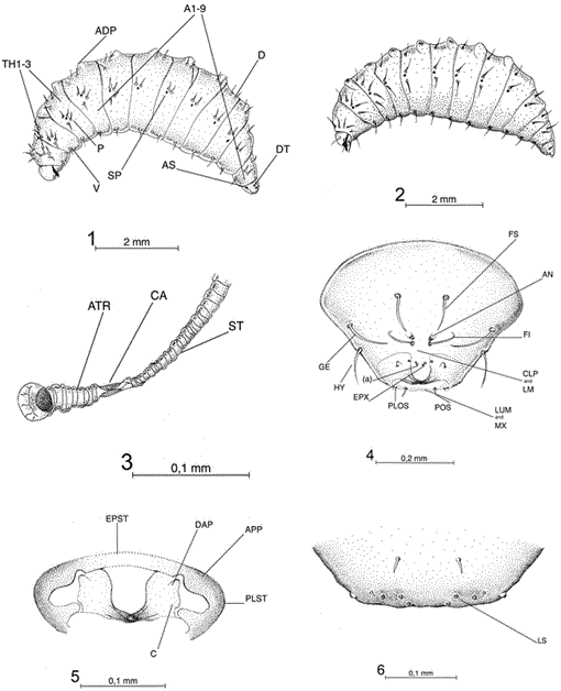 i0015-4040-87-3-278-f01.gif