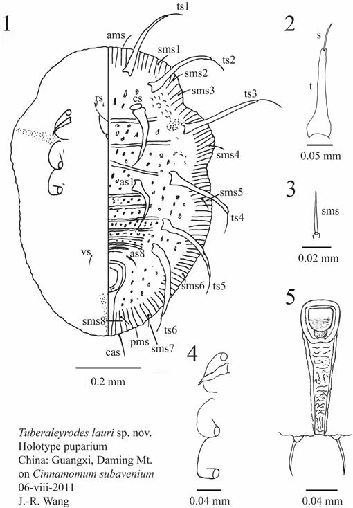 f01_619.jpg