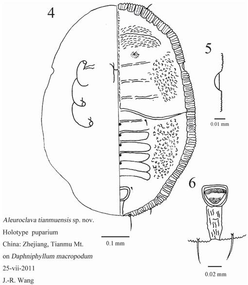 f04_685.jpg