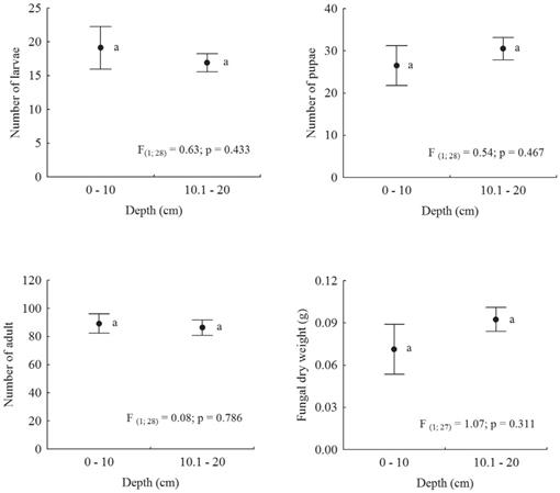 Post Fire Effect Of Savannah Vegetation On The Establishment Of New Colonies Of Atta Sexdens Rubropilosa Hymenoptera Formicidae